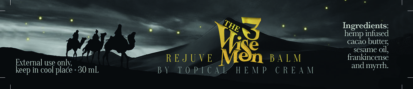 3 Wise men web