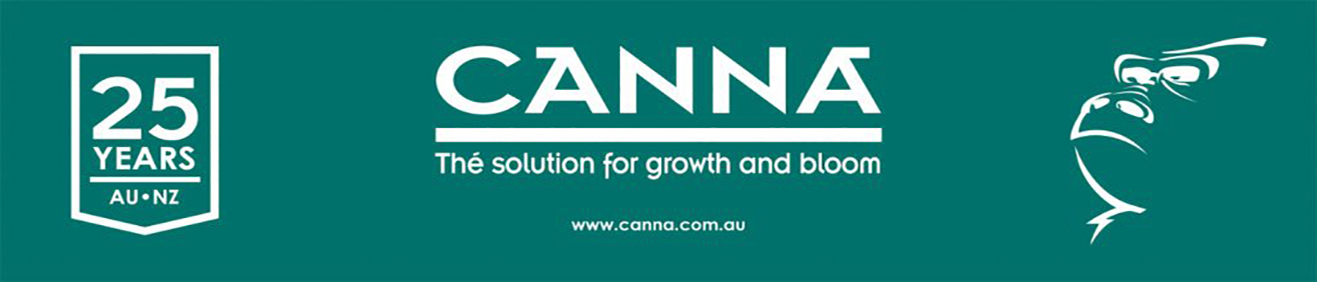 Canna-21