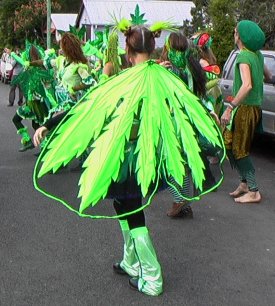 Ganja Faeries at the Nimbin Mardi Grass Rally 2003