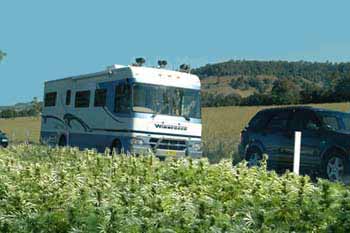 Winnie and Riot Squad passing