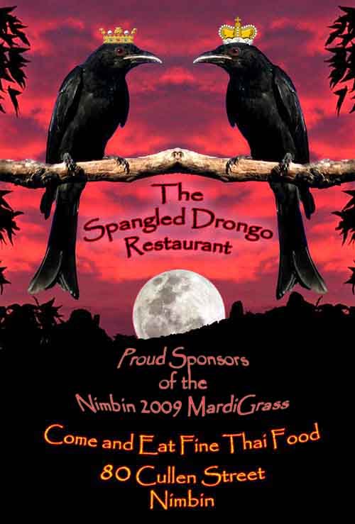 Spangled Drongo Ad