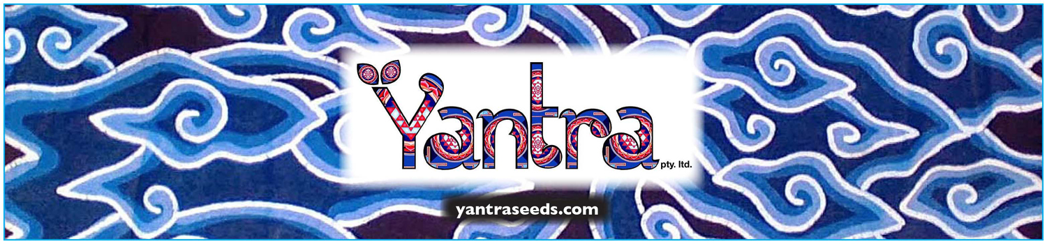 Yantra-web