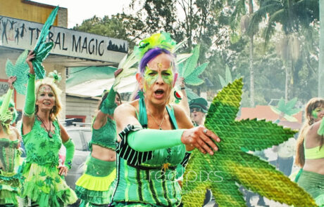 10NimbinMardigrass2025@reelpixs