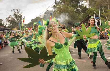 63NimbinMardigrass2025@reelpixs