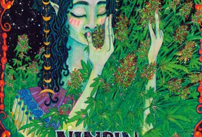 2018 Nimbin MardiGrass Poster