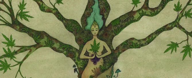 Nimbin MardiGrass 2026 Poster