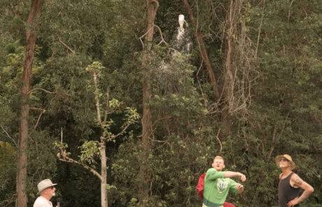 221OlympixMardigrass2025@reelpixs